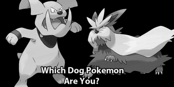 Pokemon Quizzes - Gotta Quiz Em' All - PokeQuizzes